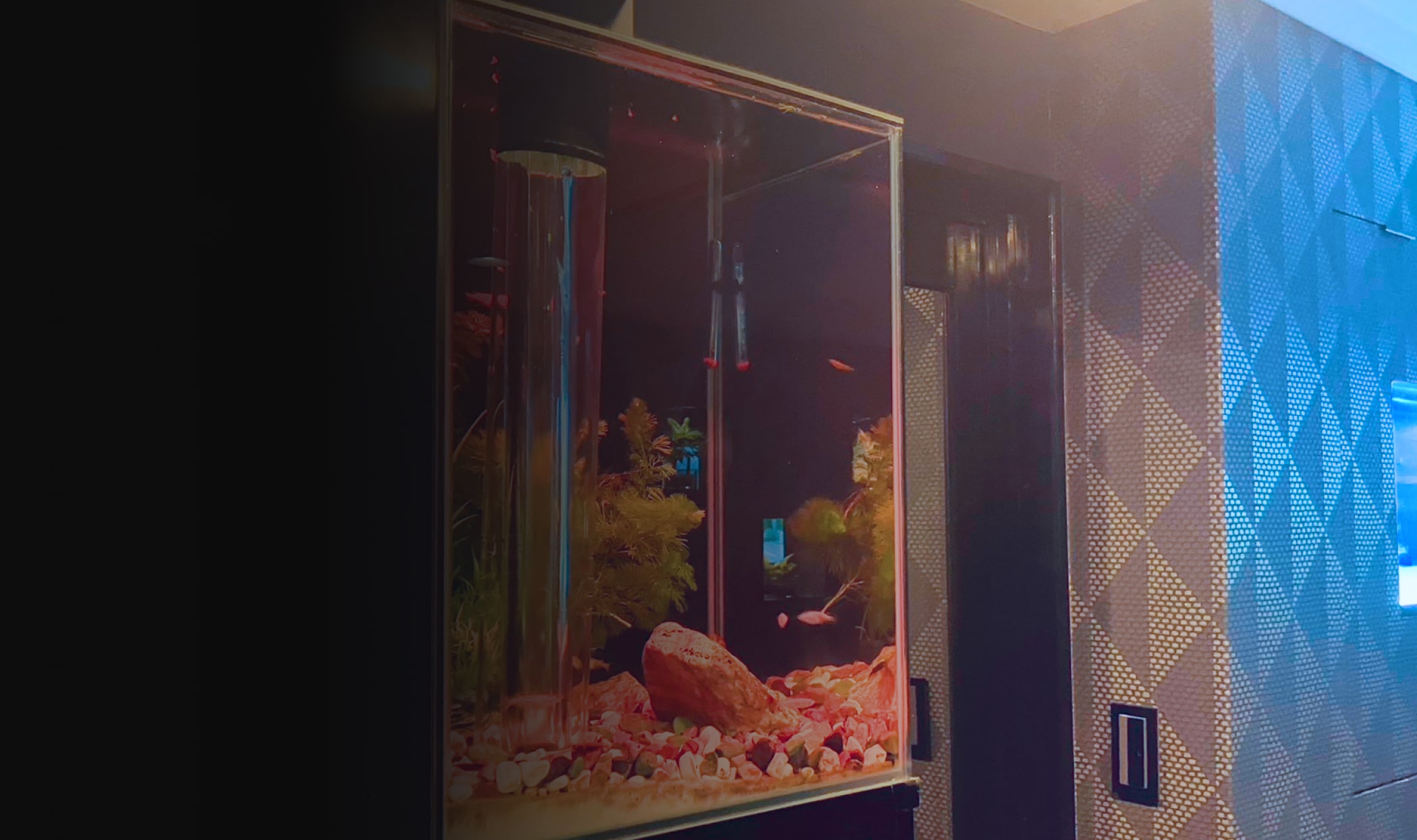 gloire 〜グロワール 店内写真3